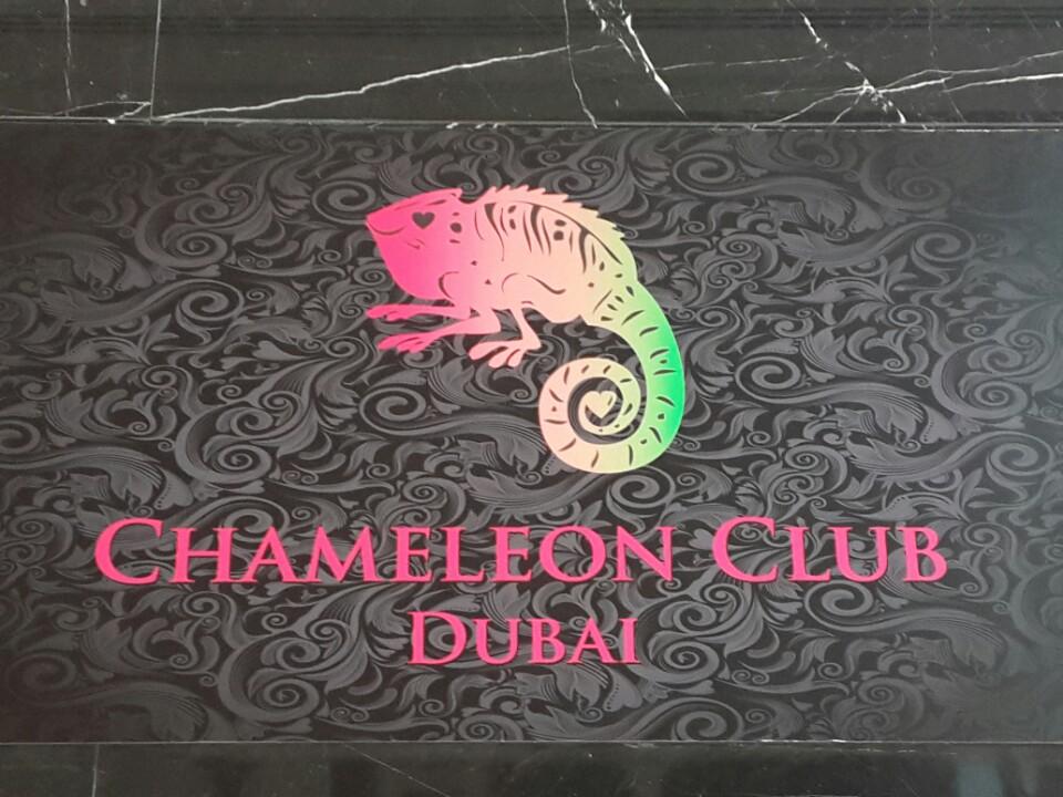 night club Chameleon photo 1